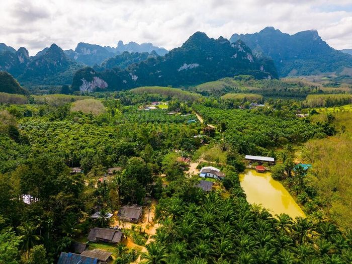 Vườn quốc gia Khao Sok - vẻ đẹp hiếm có giữa những ngọn núi đá vôi ở Thái Lan 7