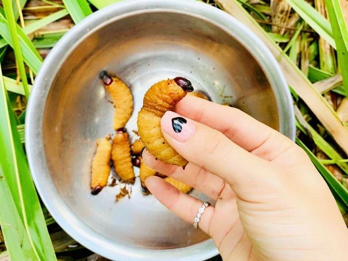 Mách bạn những gợi ý về ẩm thực tại Vĩnh Long