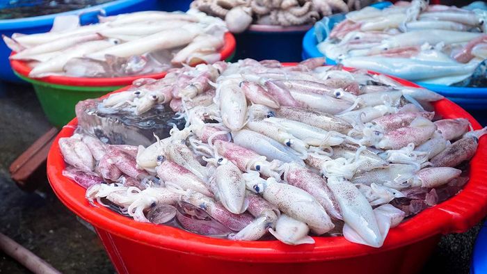 Trải nghiệm thú vị tại thị trấn chợ Bến Đá Vũng Tàu - nơi có những loài hải sản phong phú