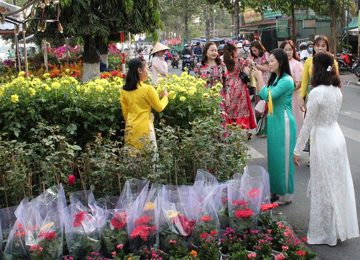 Dạo chợ hoa, kiểng thành phố Vĩnh Long thưởng ngoạn muôn ngàn sắc màu rực rỡ.