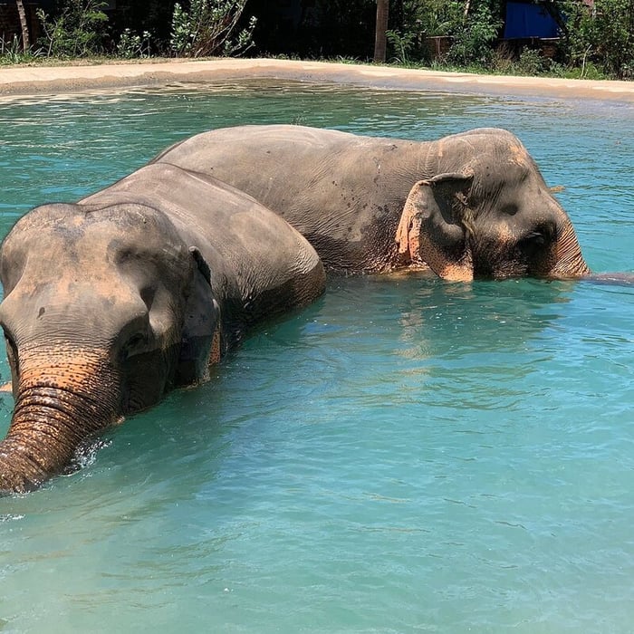 Koh Samui, thiên đường tự nhiên với vẻ đẹp phong phú 19