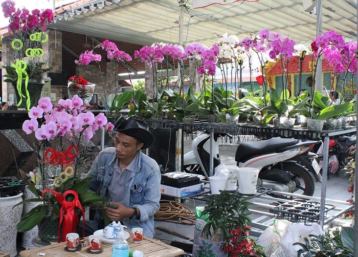 Thưởng ngoạn vẻ đẹp rực rỡ của chợ hoa và kiểng ở thành phố Vĩnh Long.
