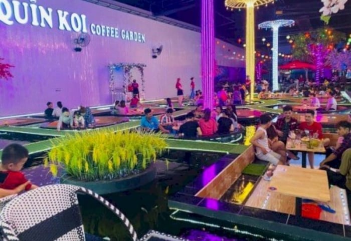 Tám địa điểm cafe cá Koi view đẹp và chill tại Thủ Đức 9