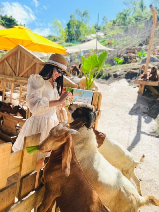 Ulala Farm gần bờ biển Vũng Tàu, là nơi bạn có thể tương tác với các thú cưng mới mẻ.