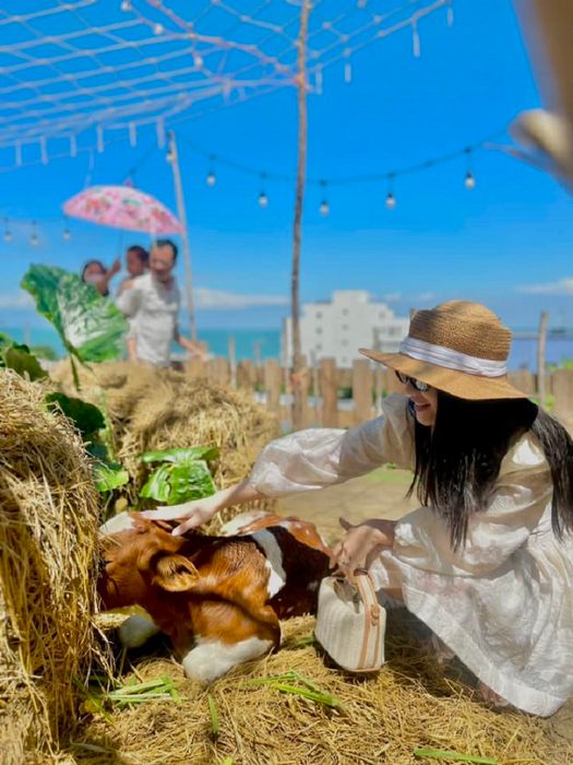 Ulala Farm gần biển Vũng Tàu, là nơi bạn có thể tương tác với các loài thú cưng mới mẻ.