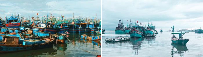 Chợ Bến Đá Vũng Tàu và những trải nghiệm độc đáo tại một trong những thiên đường hải sản hàng đầu Vũng Tàu 4