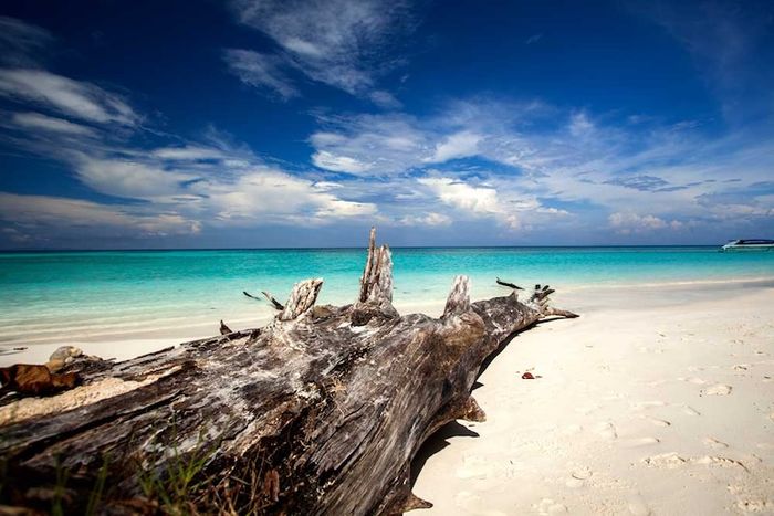 Koh Similan, thiên đường dưới biển ngoài khơi Thái Lan với 7 điểm đặc biệt