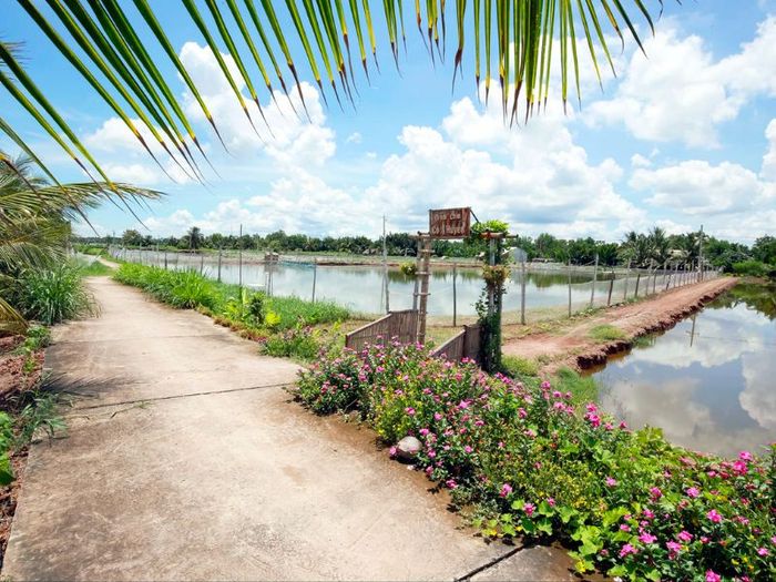 Khám phá sông nước miệt vườn miền Tây 4 tại Cồn Chim, Trà Vinh