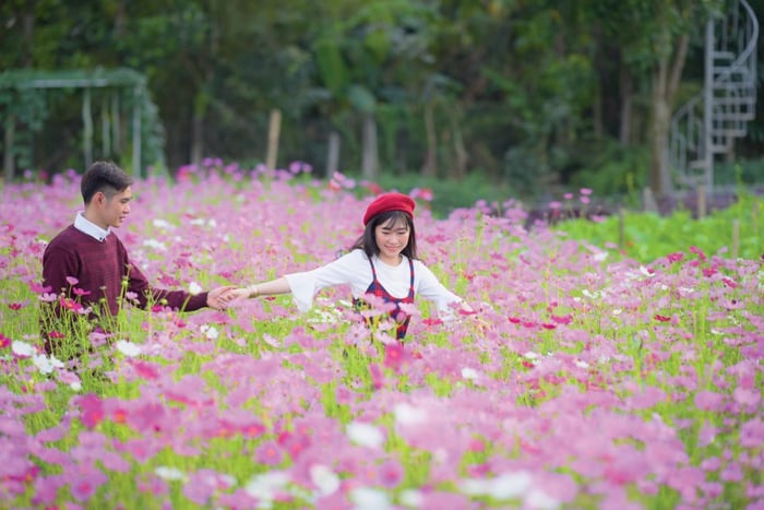 Đánh giá du lịch Tiền Giang chi tiết theo điểm đến và món ăn 6