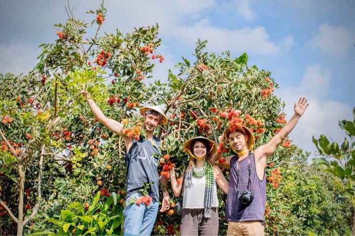 Bí quyết du lịch nông nghiệp Vĩnh Long từ A đến Z 4