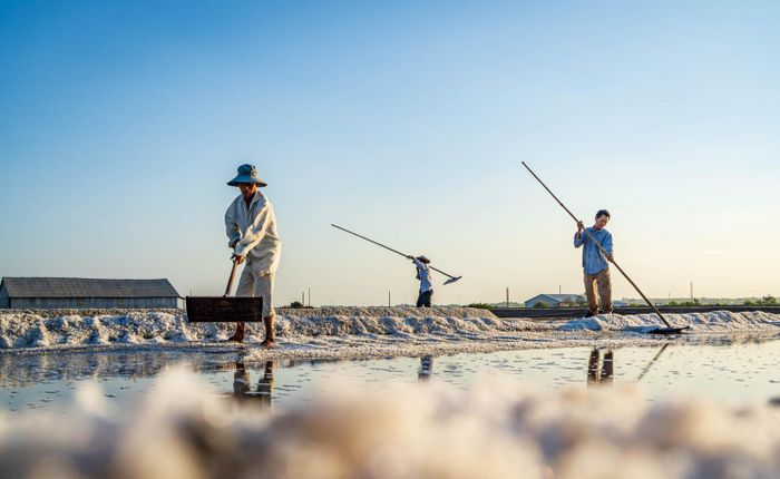 Ruộng muối Long Điền – Nơi giữ gìn nghề làm muối truyền thống qua bao tháng năm