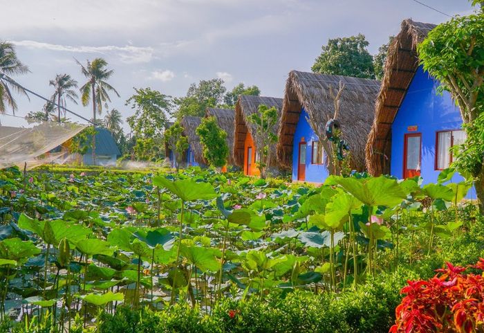 Lưu ngay 11 địa điểm du lịch Vĩnh Long siêu hấp dẫn 12