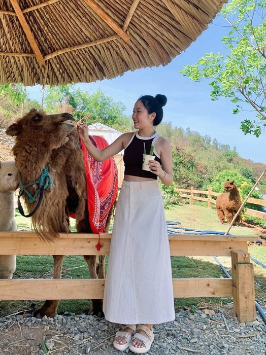 Ulala Farm gần bờ biển Vũng Tàu, là nơi bạn có thể tương tác với các thú cưng mới mẻ.