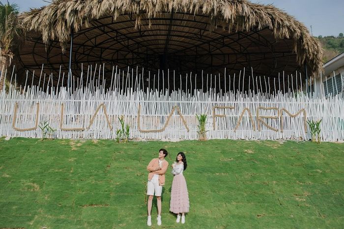Ulala Farm tọa lạc bên bờ biển Vũng Tàu, là nơi tương tác với thú cưng mới mẻ.