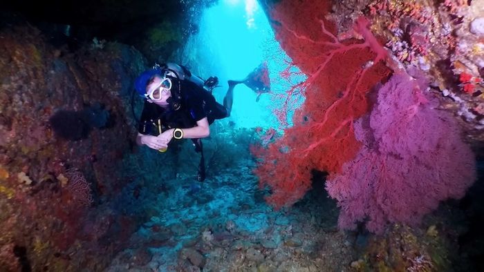 Koh Similan, điểm đến tuyệt vời dành cho lặn dưới biển 14