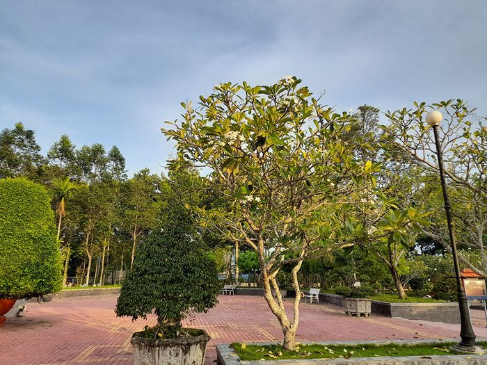 Thăm quan Đền Thờ Phạm Hùng và thắp hương tưởng nhớ người anh hùng dân tộc 7