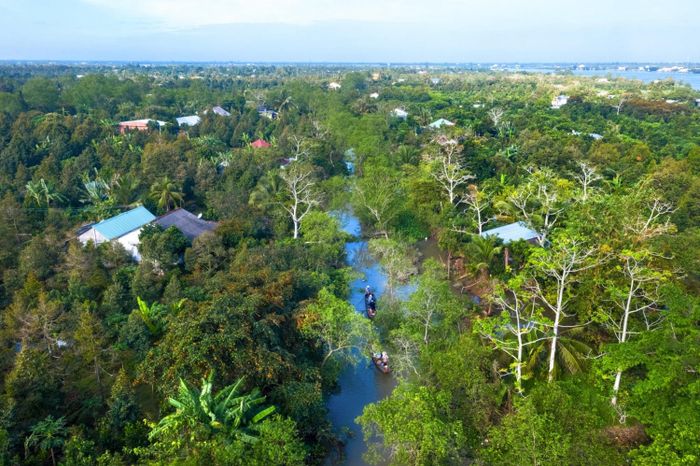 Cù Lao Tân Phong Tiền Giang và Cuộc Sống Bên Sông Tiền