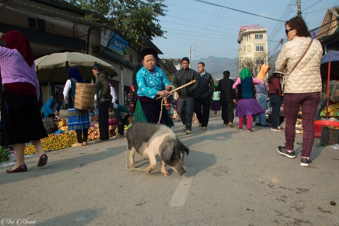 Chợ phiên Mèo Vạc - nơi thấu hiểu sự mệt mỏi của cuộc sống đồng bào. Ảnh: Mai Khanh