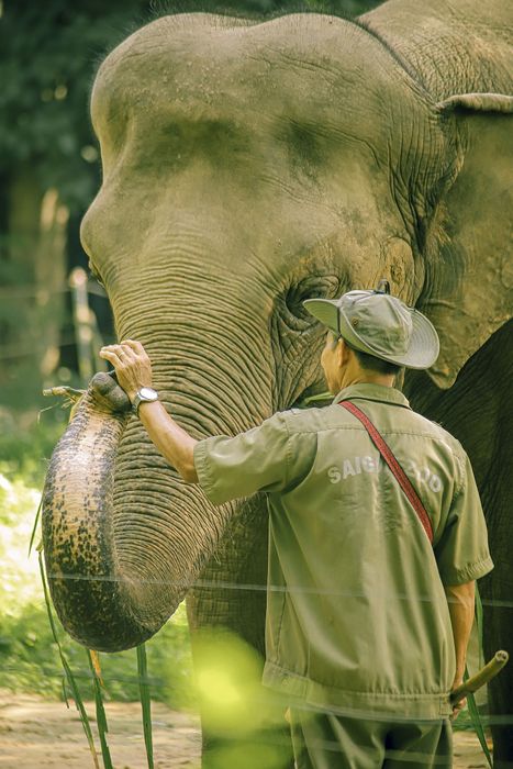 Tìm hiểu Thảo Cầm Viên Sài Gòn, nơi lưu giữ kỷ niệm tuổi thơ của nhiều thế hệ