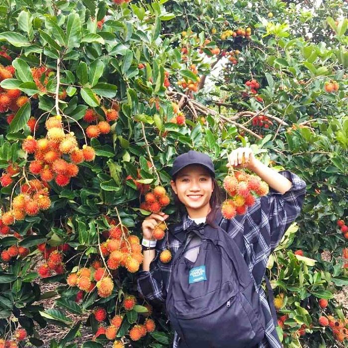 Lịch trình khám phá Vĩnh Long trong 2 ngày vui quên lối về