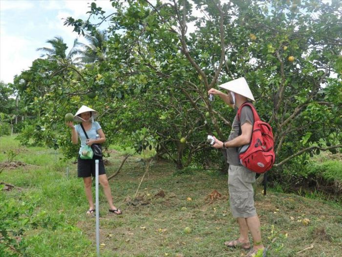 Trầm ngâm trước vẻ đẹp kiến trúc độc đáo của Nhà cổ Ba Đức Tiền Giang 8