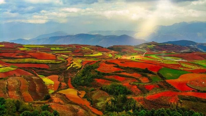 Tìm về Côn Minh, thưởng ngoạn vẻ đẹp của thành phố mùa xuân dưới ánh nắng ấm 8