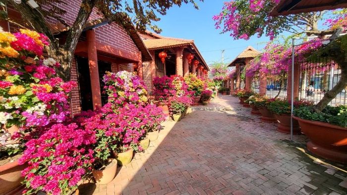 Khám phá những sản phẩm độc đáo tại nhà gốm Tư Buôi Vĩnh Long