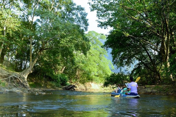 Vườn quốc gia Khao Sok - hòa mình vào vẻ đẹp thiên nhiên giữa những ngọn núi đá vôi ở Thái Lan 10