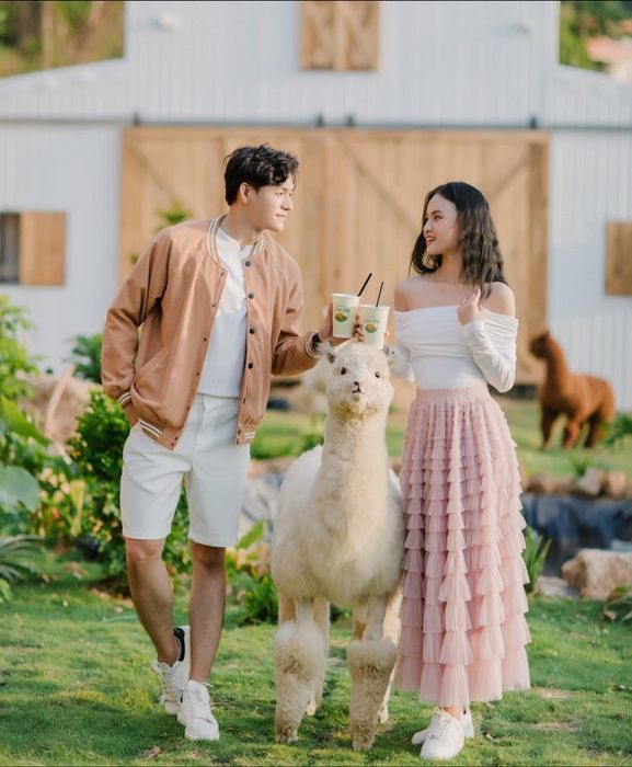 Ulala Farm gần biển Vũng Tàu, là điểm tương tác với thú cưng mới mẻ.
