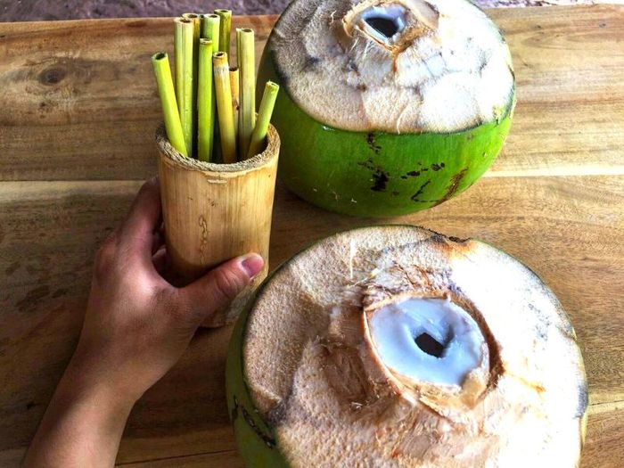 Khám phá sông nước miệt vườn miền Tây 9 tại Cồn Chim, Trà Vinh