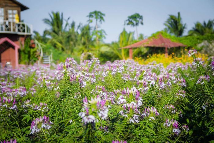 Lộ trình đến phim trường Bách Nhật Hoa Viên 2