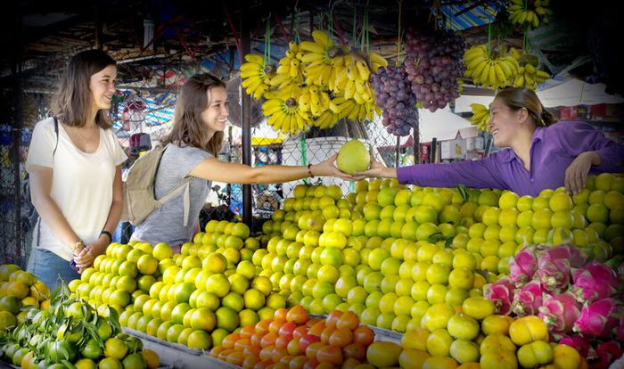 Bí quyết du lịch nông nghiệp Vĩnh Long từ A đến Z 5