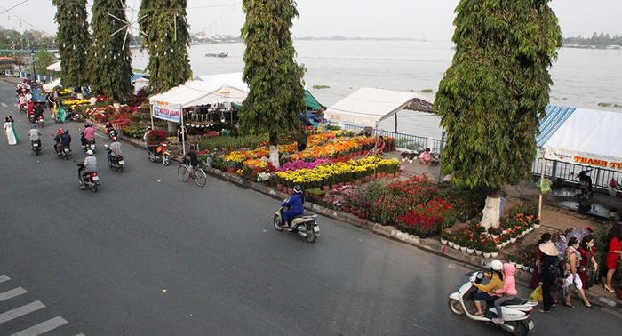 Thưởng ngoạn vẻ đẹp muôn sắc màu của chợ hoa và kiểng ở thành phố Vĩnh Long.