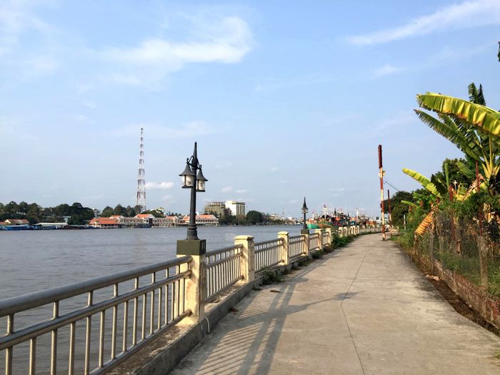 Sau khi đọc xong đánh giá về cồn Tân Long Tiền Giang này, bạn sẽ ngay lập tức muốn đi thăm.