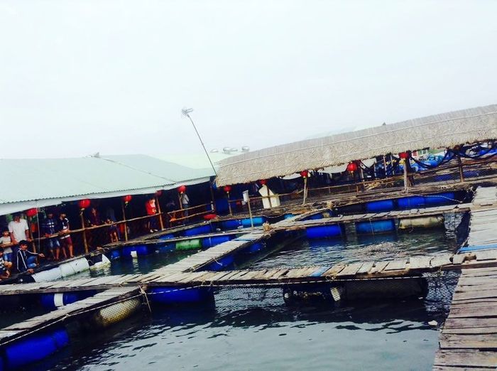 Khám phá Làng bè Long Sơn với trải nghiệm ẩm thực và cuộc sống bình dị 9