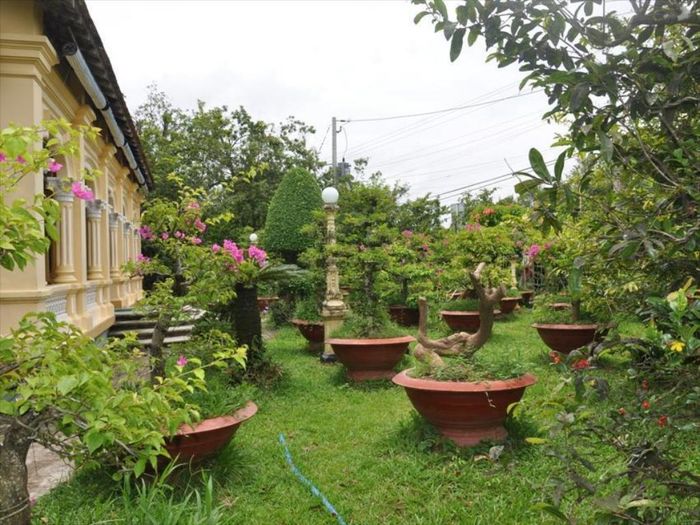 Trầm ngâm trước vẻ đẹp kiến trúc độc đáo của Nhà cổ Ba Đức Tiền Giang 5