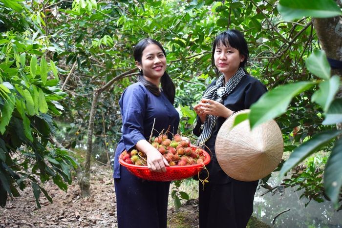 Đặc sắc của Khu Du Lịch Vinh Sang Vĩnh Long mang đậm hơi thở của miền Tây sông nước