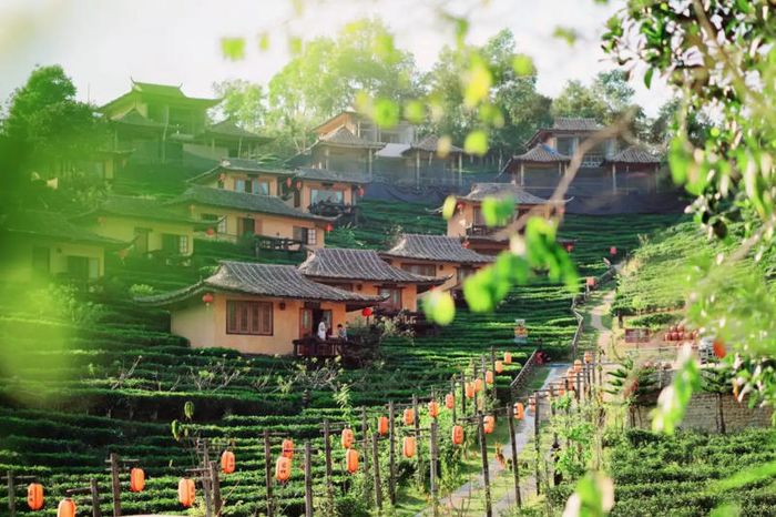 Thăm làng Ban Rak Thai đẹp mộng mơ, yên bình của người Hoa 8