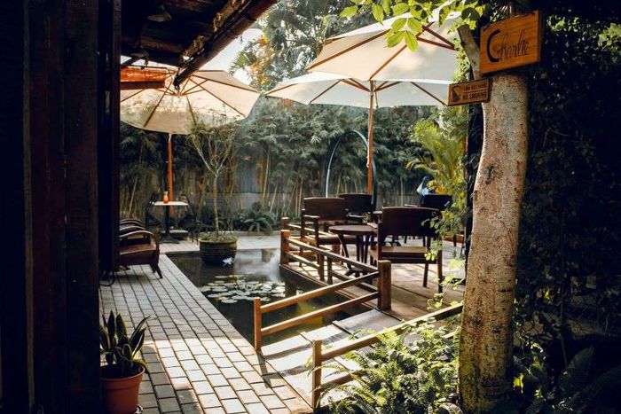Khám phá ẩm thực tại MÈO Ú kitchen Vĩnh Long, không gian vintage đơn giản 4