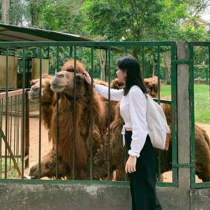 Khám phá Thảo Cầm Viên Sài Gòn, địa điểm gắn liền với tuổi thơ của nhiều thế hệ