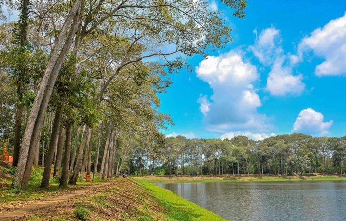 Vẻ đẹp quyến rũ của Ao Bà Om và những câu chuyện huyền bí đan xen xung quanh