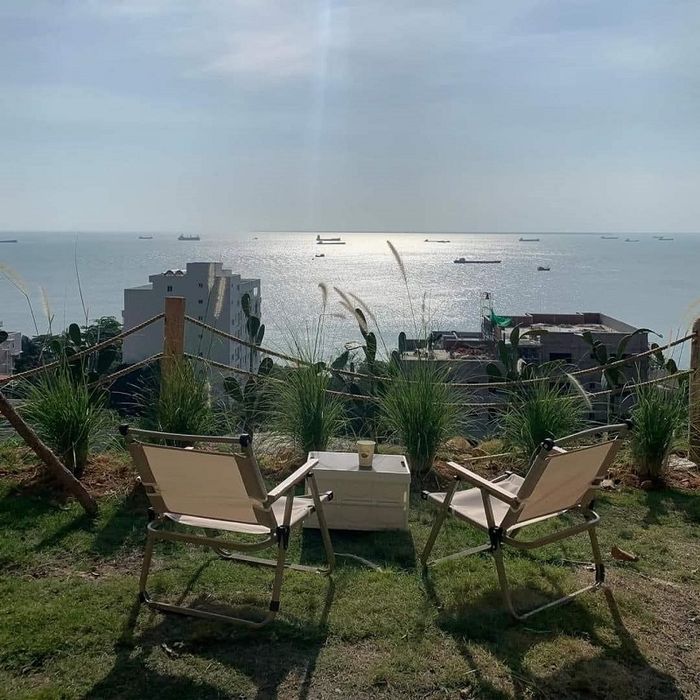 Ulala Farm cạnh biển Vũng Tàu, là điểm đến tương tác với các loài thú mới mẻ.