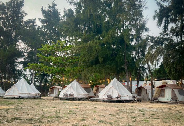 Lata camping: điểm dã ngoại đẹp nhất tại Cần Giờ 8