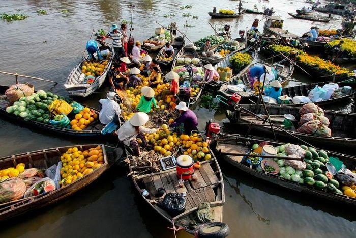 Trải nghiệm Lịch trình du lịch Tiền Giang một ngày, mê mải khám phá đến không muốn về 2