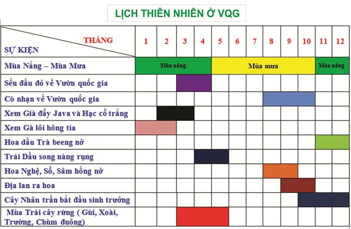 Vườn Quốc gia Lò Gò - Xa Mát, huyền bí đến kỳ diệu