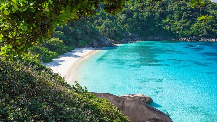 Koh Similan, điểm đến tuyệt vời dành cho lặn dưới biển 15