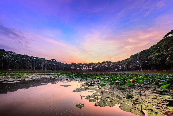 Sự quyến rũ của Ao Bà Om và bí mật bao quanh