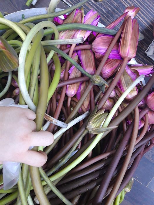Bún súng Vũng Tàu - Hương vị hòa quyện của ba nền văn hóa