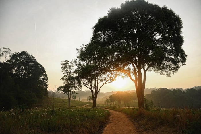 Đánh giá về Khao Yai, một trong những công viên quốc gia lớn nhất Thái Lan