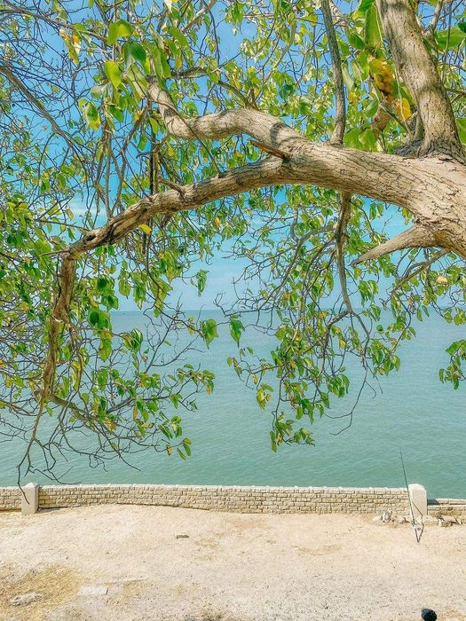 Ghé thăm bờ kè bãi trước Vũng Tàu và ghi lại những khoảnh khắc đáng nhớ